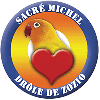 Toujours plus d'humour avec les vidéos du jour de Sacré Michel, tous les jours de nouveaux clips sur michelrochet.com pour se marrer un peu - Michel Rochet producteur de talents.