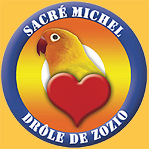 Logo Sacre Michel